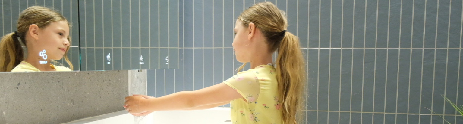 Behind the mirror solutions