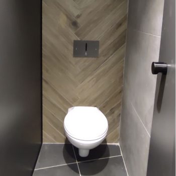touch free concealed cistern system & iron frame